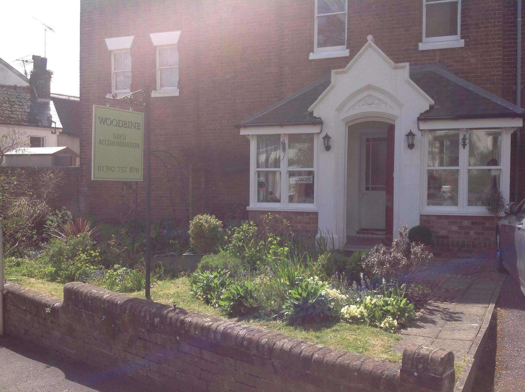Woodbine City Rooms Exeter Buitenkant foto