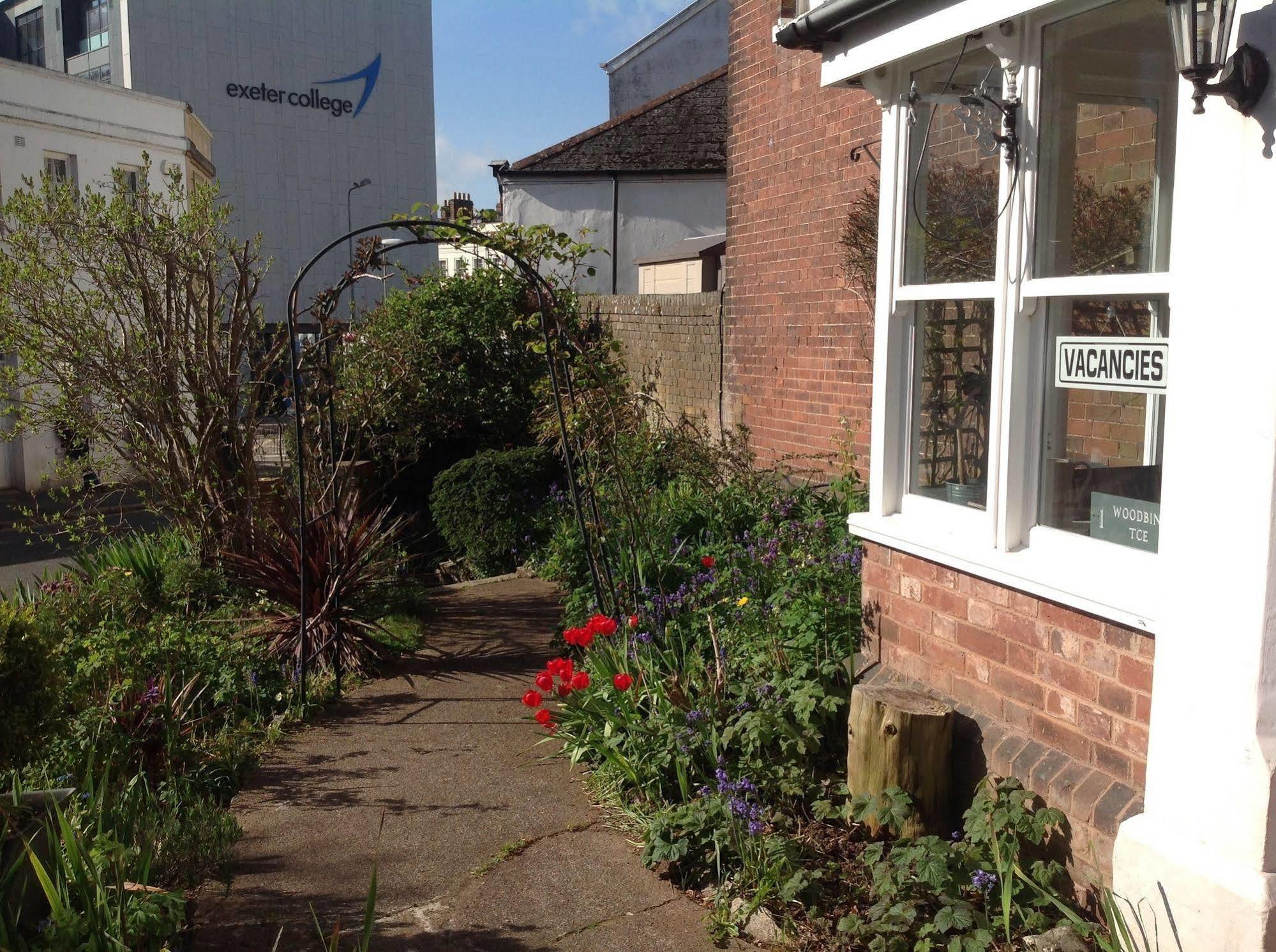 Woodbine City Rooms Exeter Buitenkant foto